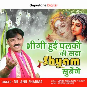 Bheegi Hui Palko Ki Sada Shyam Sunege image