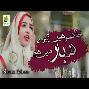 Hazir Hain Tere Darbar Mein Hum image