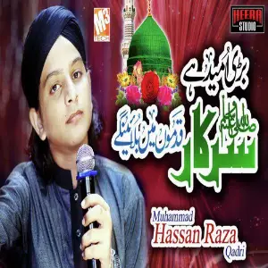 Bari Umeed Hai Sarkar - Single image