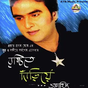 Brishtite Dariye image