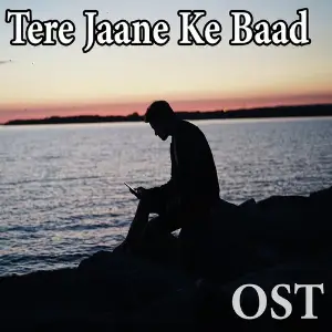 Tere Jaane Ke Baad (From Tere Jaane Ke Baad) image