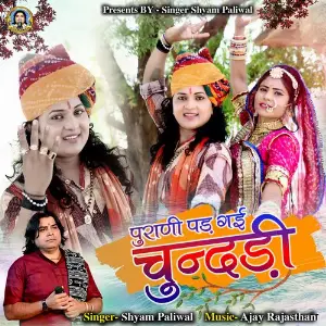 Purani Pad Gai Chunddi image