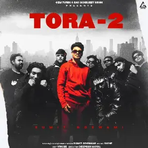 Tora-2 image
