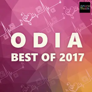 Best of 2017 Odia image