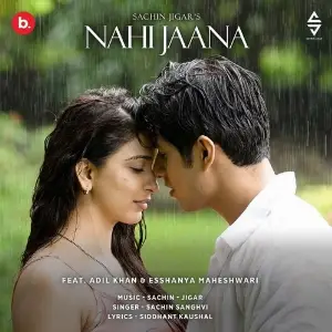 Nahi Jaana image