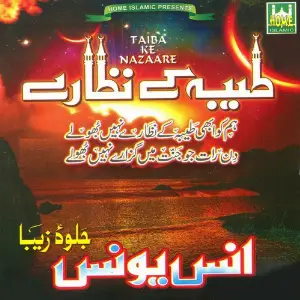 Taiba Ke Nazare image
