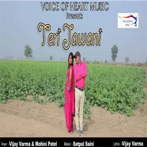 Teri Jawani image