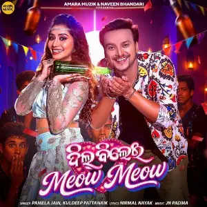 Dil Bilei Meow Meow image