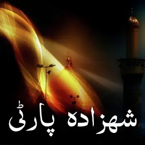 Shahzadaparty image