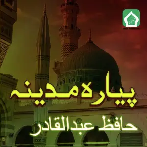 Payara Madina image