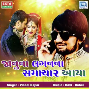 Janu Na Lagan Na Hamachar Aaya image