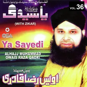 Ya Sayedi, Vol. 36 image