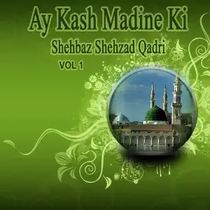 Ay Kash Madine Ki, Vol. 1 image