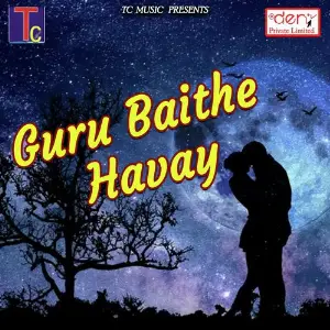 Guru Baithe Havay image