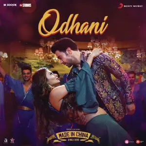 Odhani (From Made in China) image