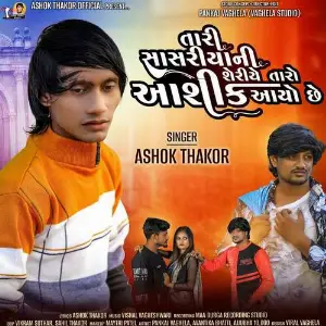 Tari Sasriya Ni Sheriye Taro Aashiq Aayo Chhe image