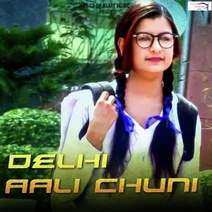 Delhi Aali Chuni image