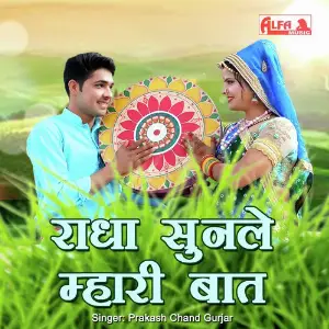 Radha Sunle Mhari Baat image
