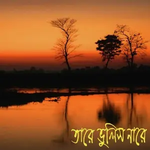 Tare Bhulish Naare image