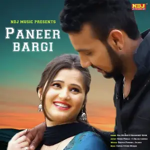 Paneer Bargi image