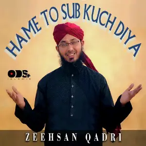 Hame to Sub Kuch Diya - Single image