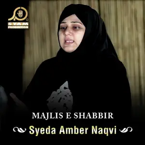 Majlis E Shabbir image