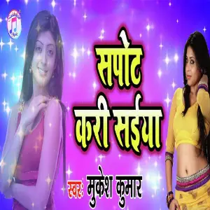 Sapot Kari Saiya image