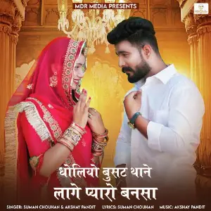 Dholiyo Busat Thane Lage Pyaro Bansa image