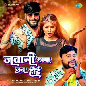 Jawani Laba Lab Hoyi image