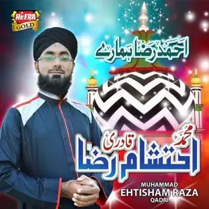 Ahmed Raza Hamaray image