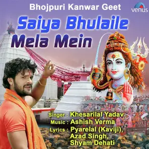 Saiya Bhulaile Mela Mein image