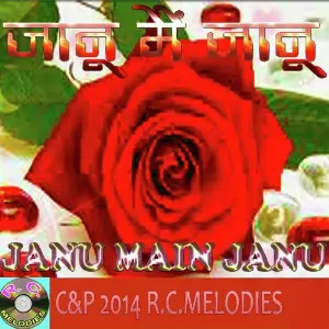 Janu Main Janu Robin, Shikkha
