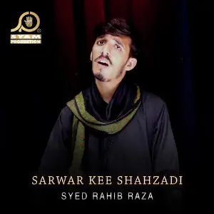 Sarwar Kee Shahzadi - Single image