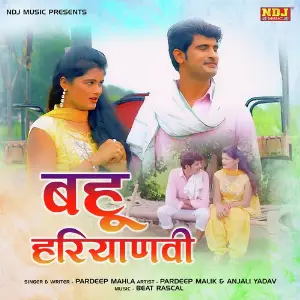 Bahu Haryanvi image