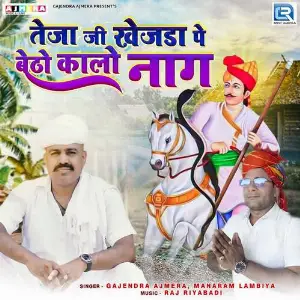 Tejaji Khejda Pe Betho Kalo Naag image