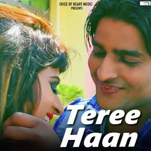 Teree Haan image