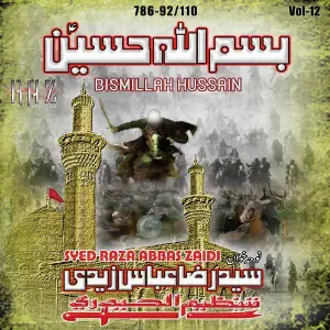 Bismillah Hussain, Vol. 12 image