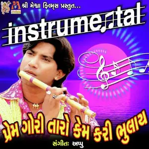 Prem Gori Taro Kem Kari Bhulay Instrumental image