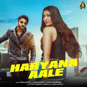 Haryana Aale image
