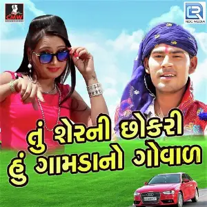 Tu Sher Ni Chokari Hu Gamdano Goval image