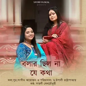 Bolar Chilo Na Je Kotha image