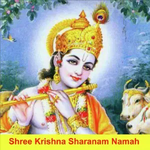 Shree Krishna Sharnam Namah image