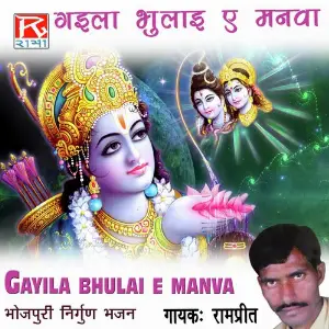 Gayila Bhulai E Manva image