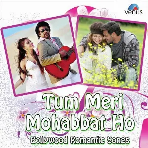 Tum Meri Mohabbat Ho - Bollywood Romantic Songs Various Artists