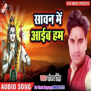 Sawan Me Aaib Hum image