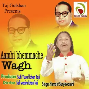 Aamhi Bhemmache Wagh image
