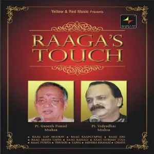 Raagas Touch Pdt. Vidya Dhar Mishra