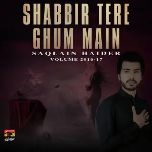 Shabbir Tere Ghum Main, Vol. 2016-17 image