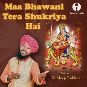Maa Bhawani Tera Shukriya Hai image