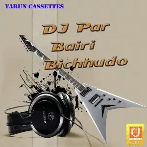 Dj Par Bairi Bichhudo image